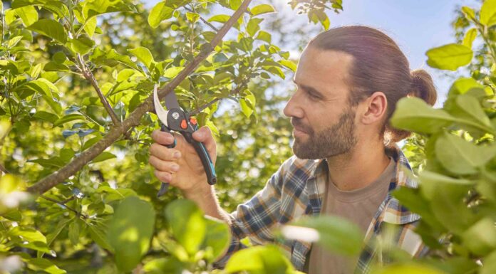 Cortes limpios y precisos con Gardena PremiumCut Pro Flex Bypass