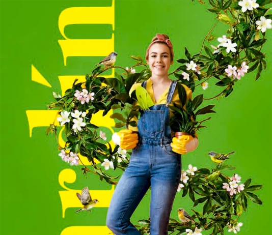 Ferrcash, 52 páginas para perderse en un jardín de ofertas «verdes»