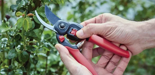 Tiempos de poda | Tijeras Confort Gel, para el aficionado que disfruta del jardín