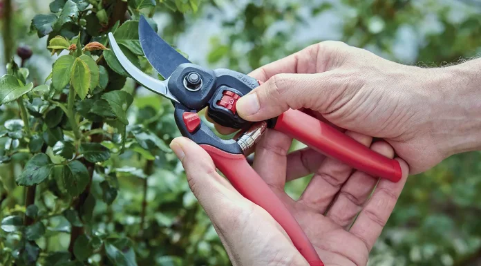 Tiempos de poda | Tijeras Confort Gel, para el aficionado que disfruta del jardín