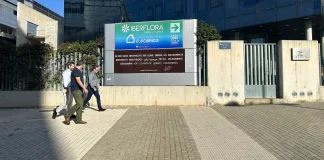 Opinión | Iberflora gana, Eurobrico se camufla y el sector pierde claridad