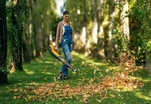 Opinión | ¿Hay que recoger todas las hojas del jardín en otoño?